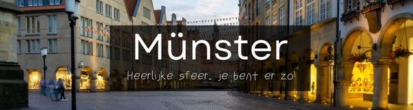 kerstmarkt in munster duitsland